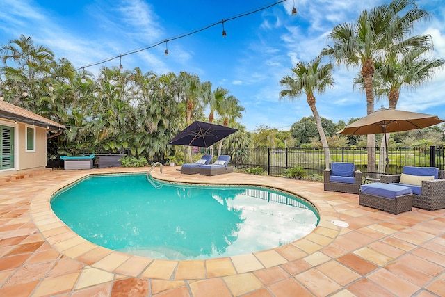 view of pool with a patio and an outdoor hangout area