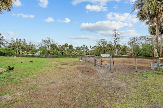 view of yard with a rural view