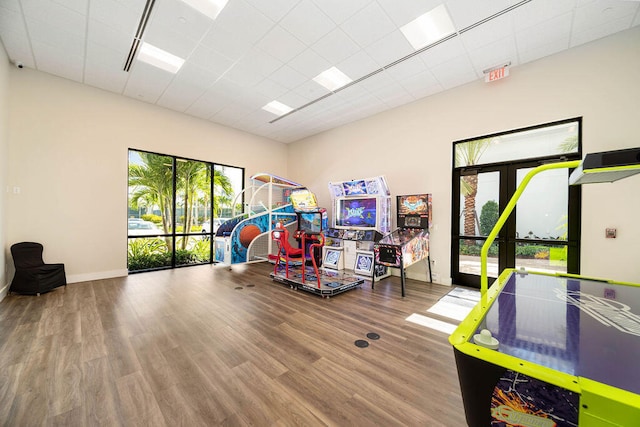 recreation room with hardwood / wood-style flooring and french doors