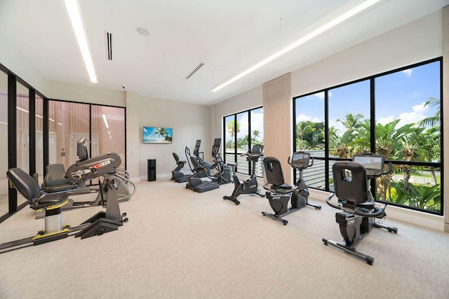 workout area with carpet