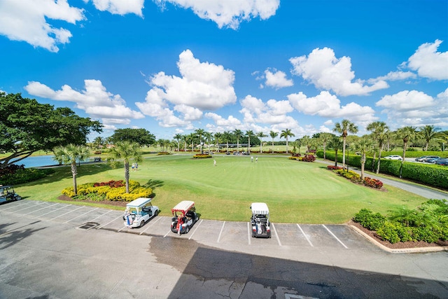 view of community featuring a yard