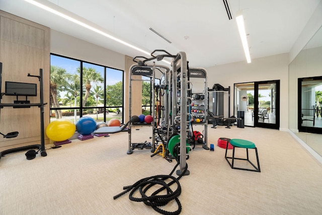 gym with light colored carpet and plenty of natural light