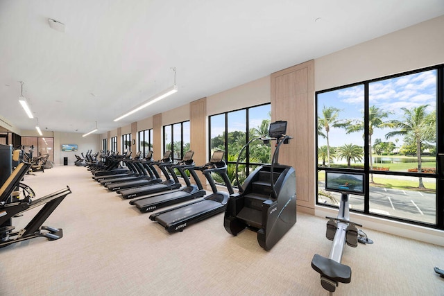 exercise room with carpet flooring