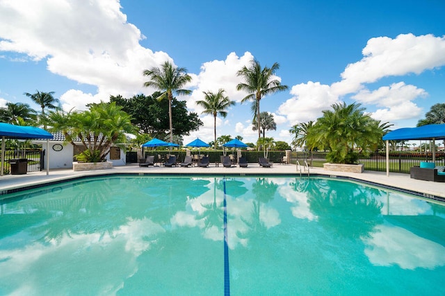 view of pool with a patio