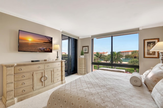 bedroom featuring expansive windows