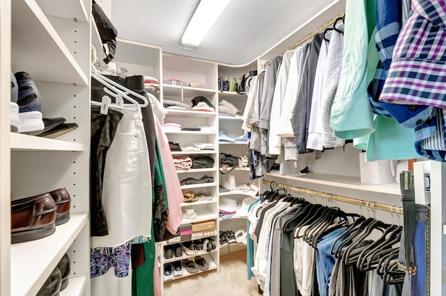 spacious closet featuring carpet