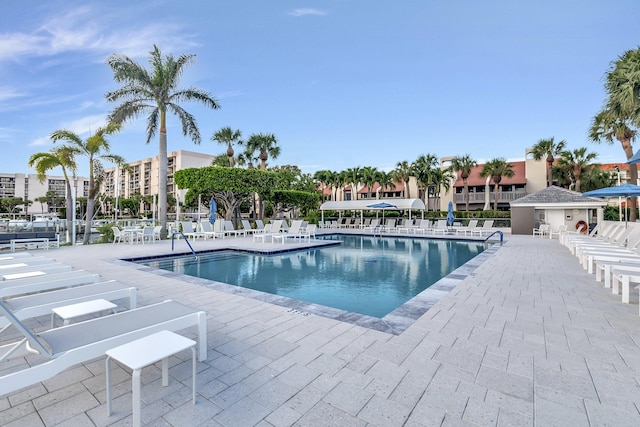 view of pool featuring a patio