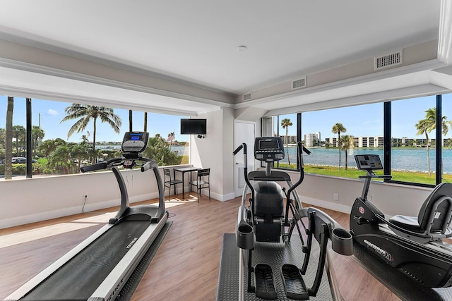 exercise room featuring wood-type flooring and plenty of natural light