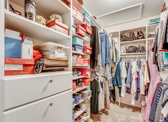 spacious closet featuring light colored carpet