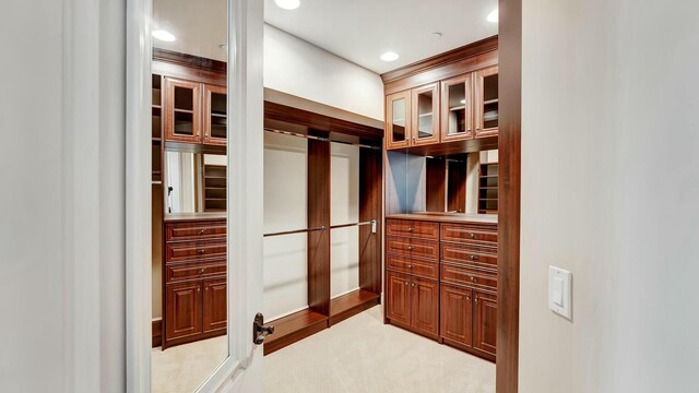 walk in closet with light colored carpet