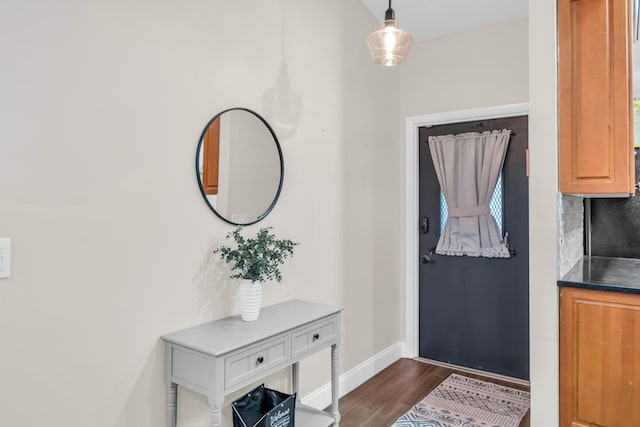 foyer entrance with dark hardwood / wood-style flooring