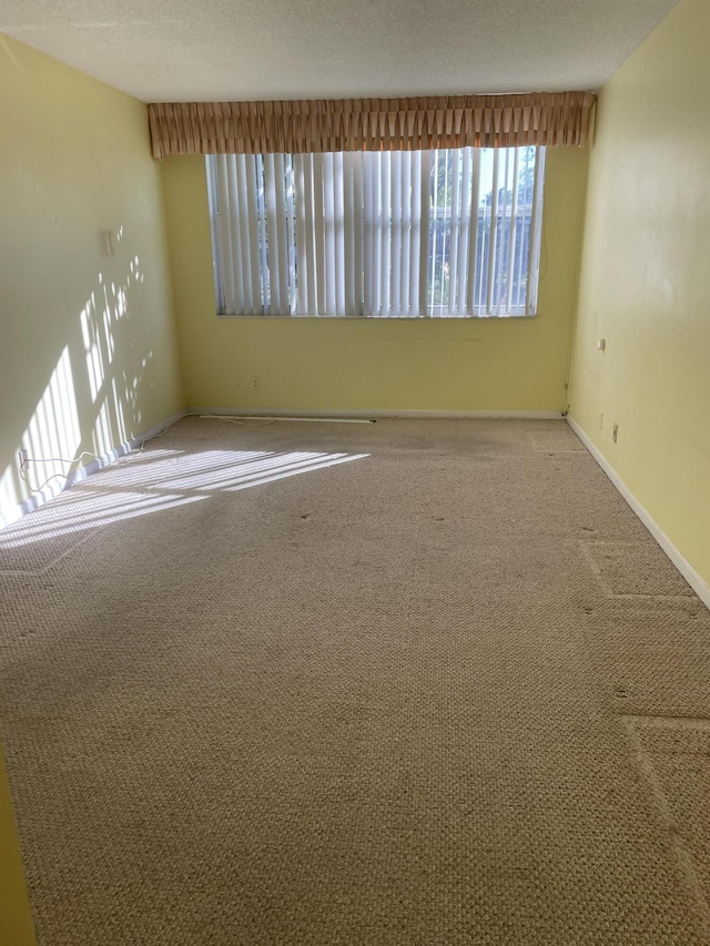 spare room with carpet floors