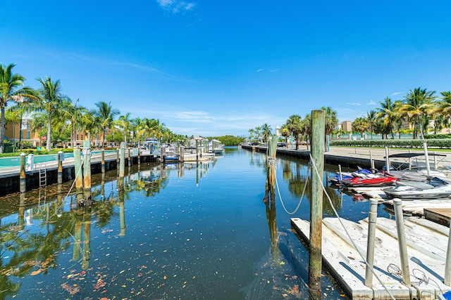 dock area with a water view