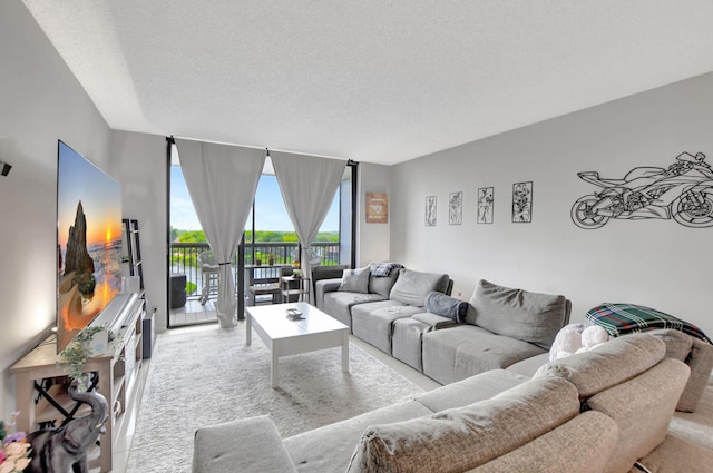 living room featuring a textured ceiling and light carpet