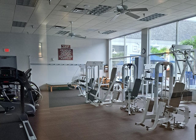 gym with ceiling fan, a wall of windows, and a paneled ceiling