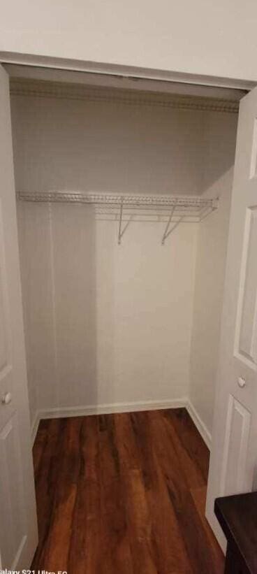 spacious closet with dark wood-type flooring