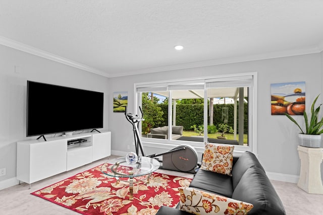 living room featuring ornamental molding and a textured ceiling