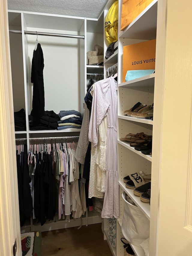 walk in closet with hardwood / wood-style floors