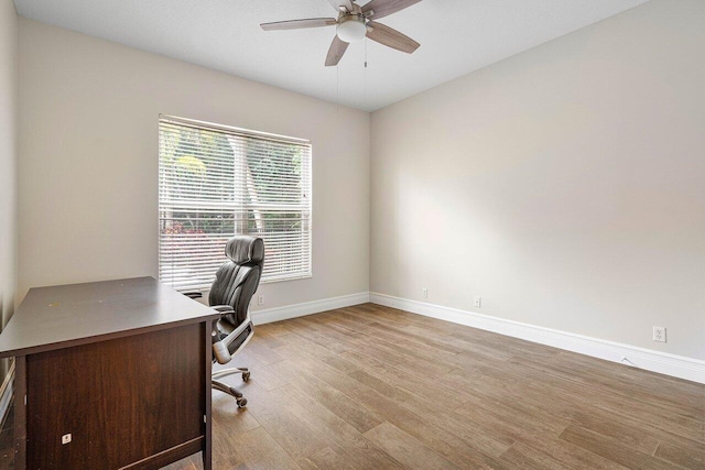 office area featuring ceiling fan and light hardwood / wood-style floors