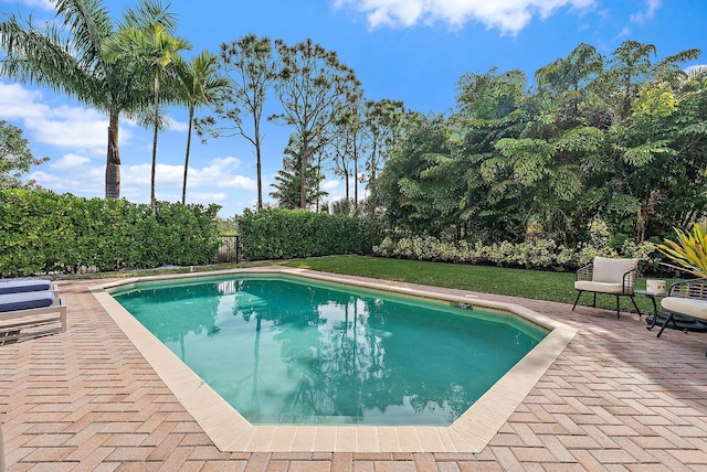 view of swimming pool featuring a lawn and a patio