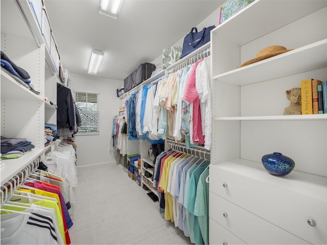 spacious closet with light colored carpet