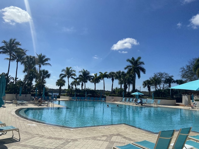 view of swimming pool featuring a patio