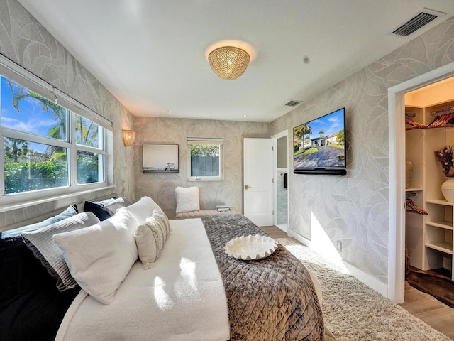 bedroom with a walk in closet, a closet, multiple windows, and light hardwood / wood-style floors