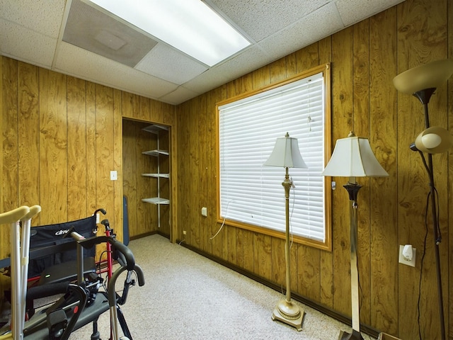 interior space featuring light carpet, wood walls, a healthy amount of sunlight, and a drop ceiling