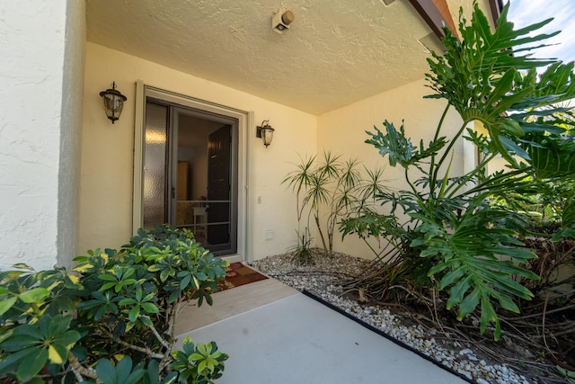 view of exterior entry with stucco siding
