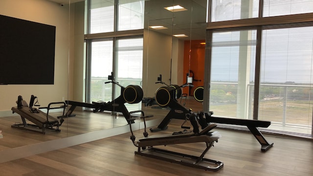 gym featuring hardwood / wood-style floors and expansive windows