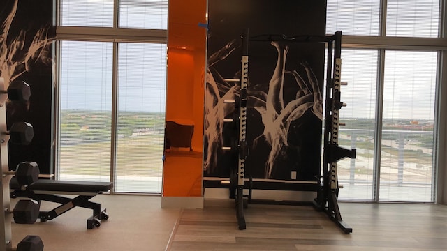 workout room featuring hardwood / wood-style flooring, expansive windows, and plenty of natural light