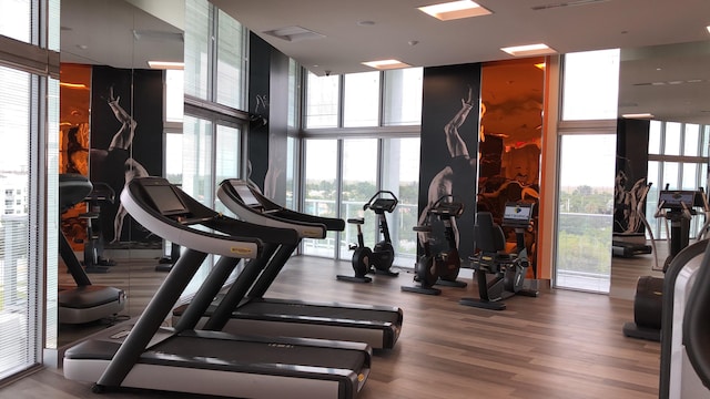 exercise room featuring a high ceiling, wood-type flooring, and a wall of windows