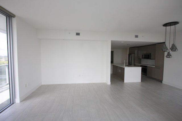 empty room with sink, light hardwood / wood-style floors, and a wall of windows