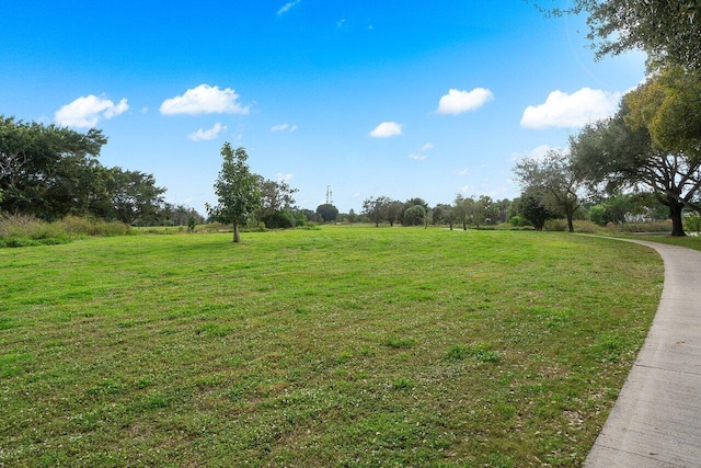 view of yard