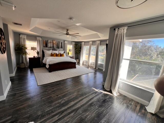 bedroom with a raised ceiling, dark wood-type flooring, ceiling fan, and multiple windows