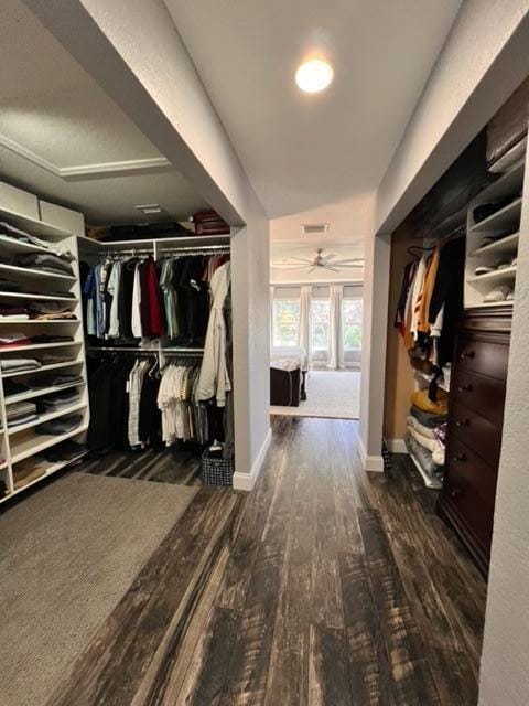 walk in closet featuring dark hardwood / wood-style flooring