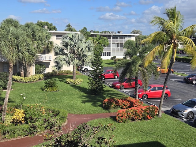 view of community featuring a lawn