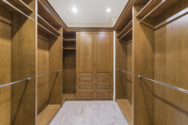 view of walk in closet