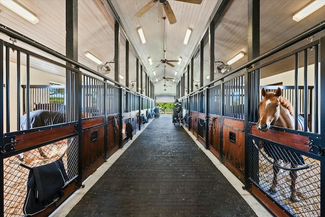 view of horse barn