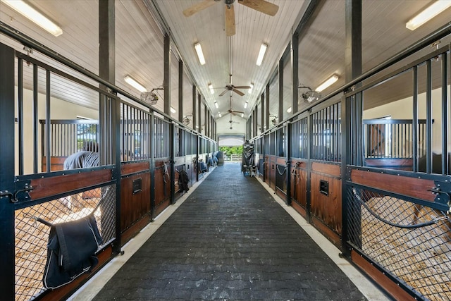 view of horse barn