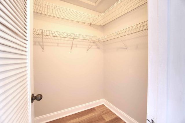 spacious closet with hardwood / wood-style flooring