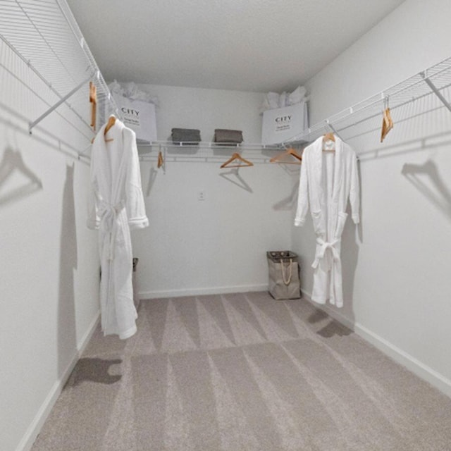 walk in closet featuring carpet floors