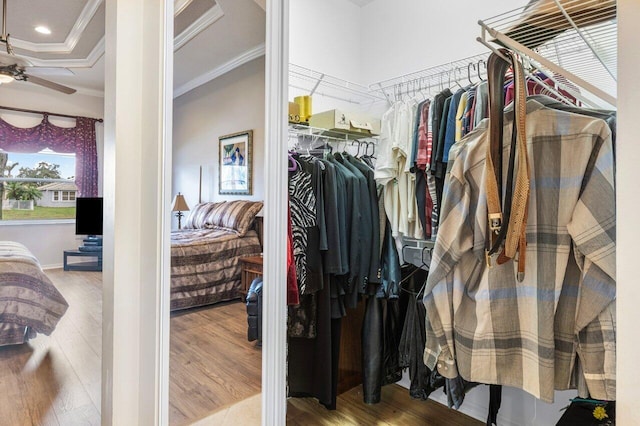 spacious closet featuring hardwood / wood-style flooring and ceiling fan