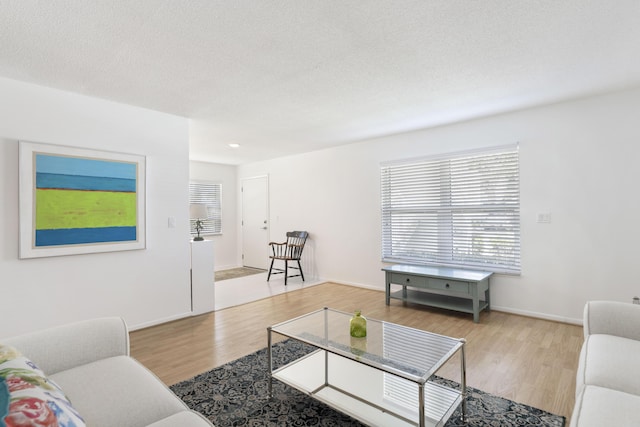 living room featuring a textured ceiling and light hardwood / wood-style flooring