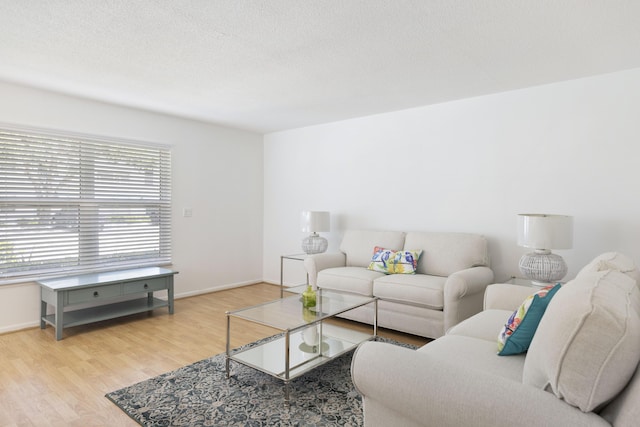 living room featuring light hardwood / wood-style flooring