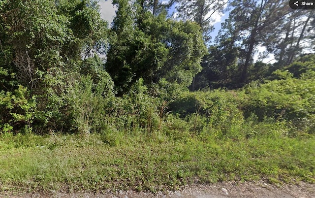 Tbd Locust, Ocala FL, 34472 land for sale