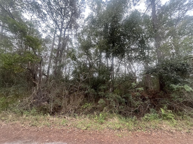 Tbd Locust, Ocala FL, 34472 land for sale