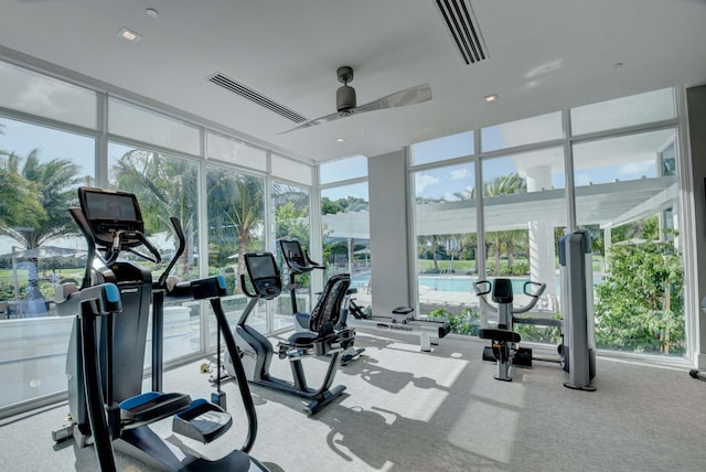 exercise room featuring ceiling fan, carpet, visible vents, and a wall of windows