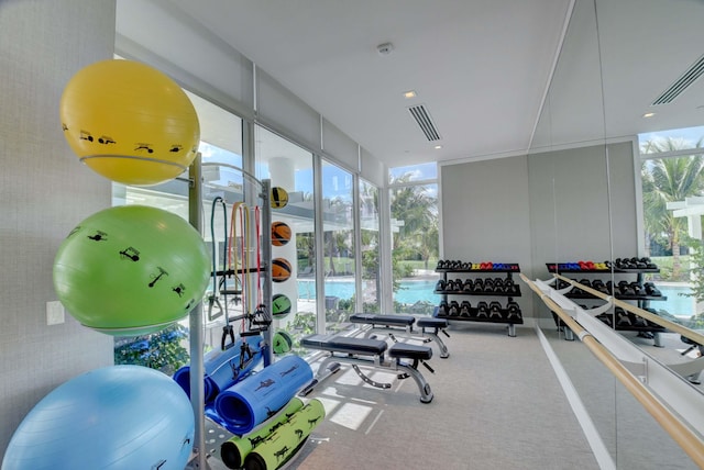 gym featuring expansive windows, carpet floors, and visible vents