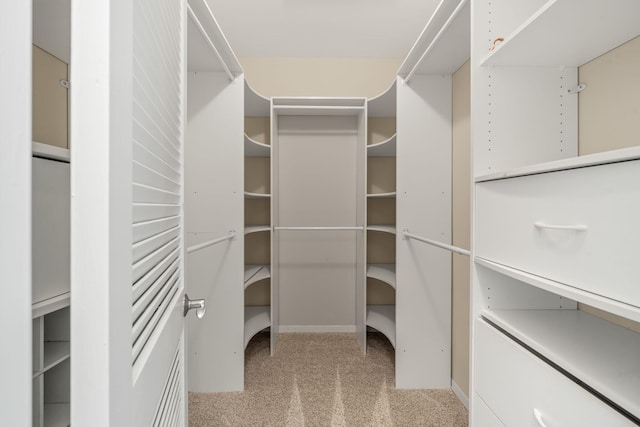 walk in closet with light colored carpet